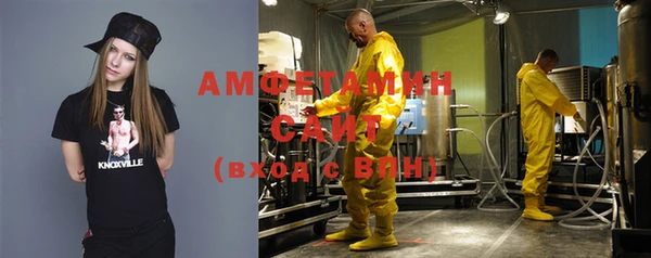 тгк Абаза