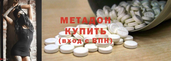 прущие грибы Абинск