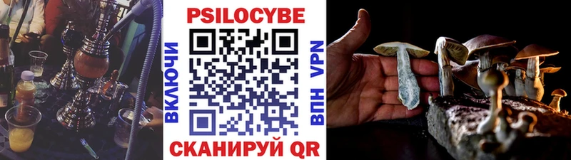 Галлюциногенные грибы мицелий  Сольвычегодск 