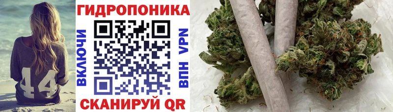 Шишки марихуана VHQ  Сольвычегодск 